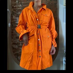 Amazing trench dress